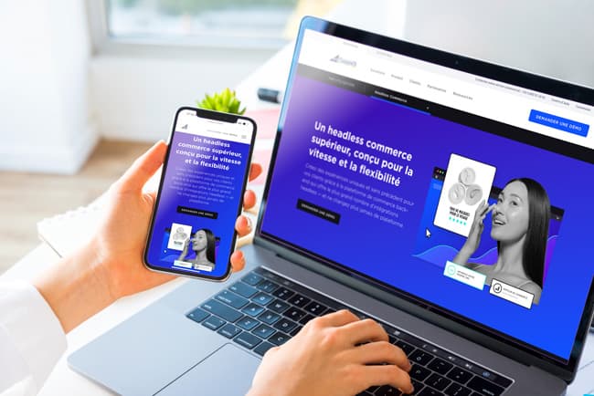 Headless architecture: the future of e-commerce