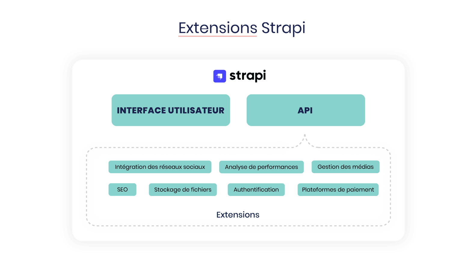 The Strapi ecosystem