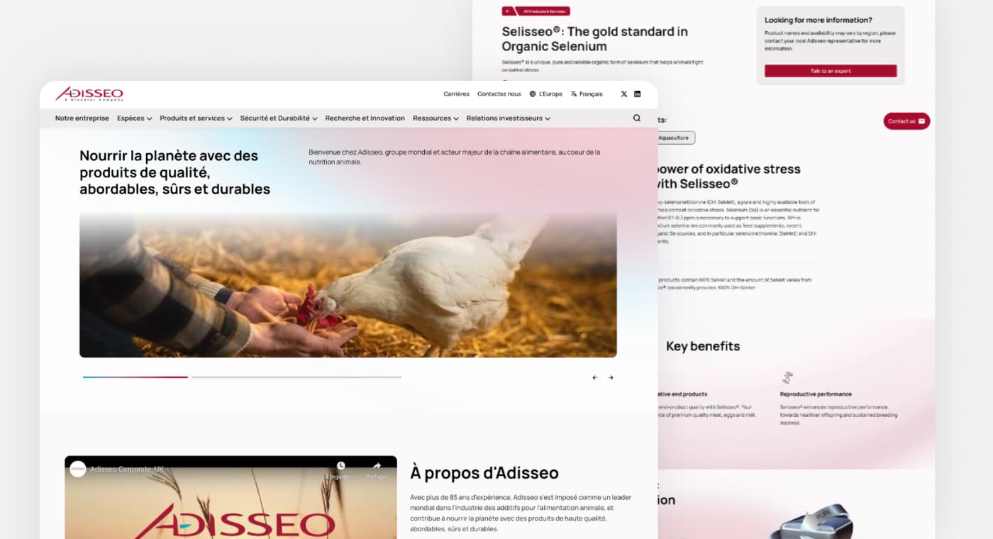 Adisseo - Écran 1