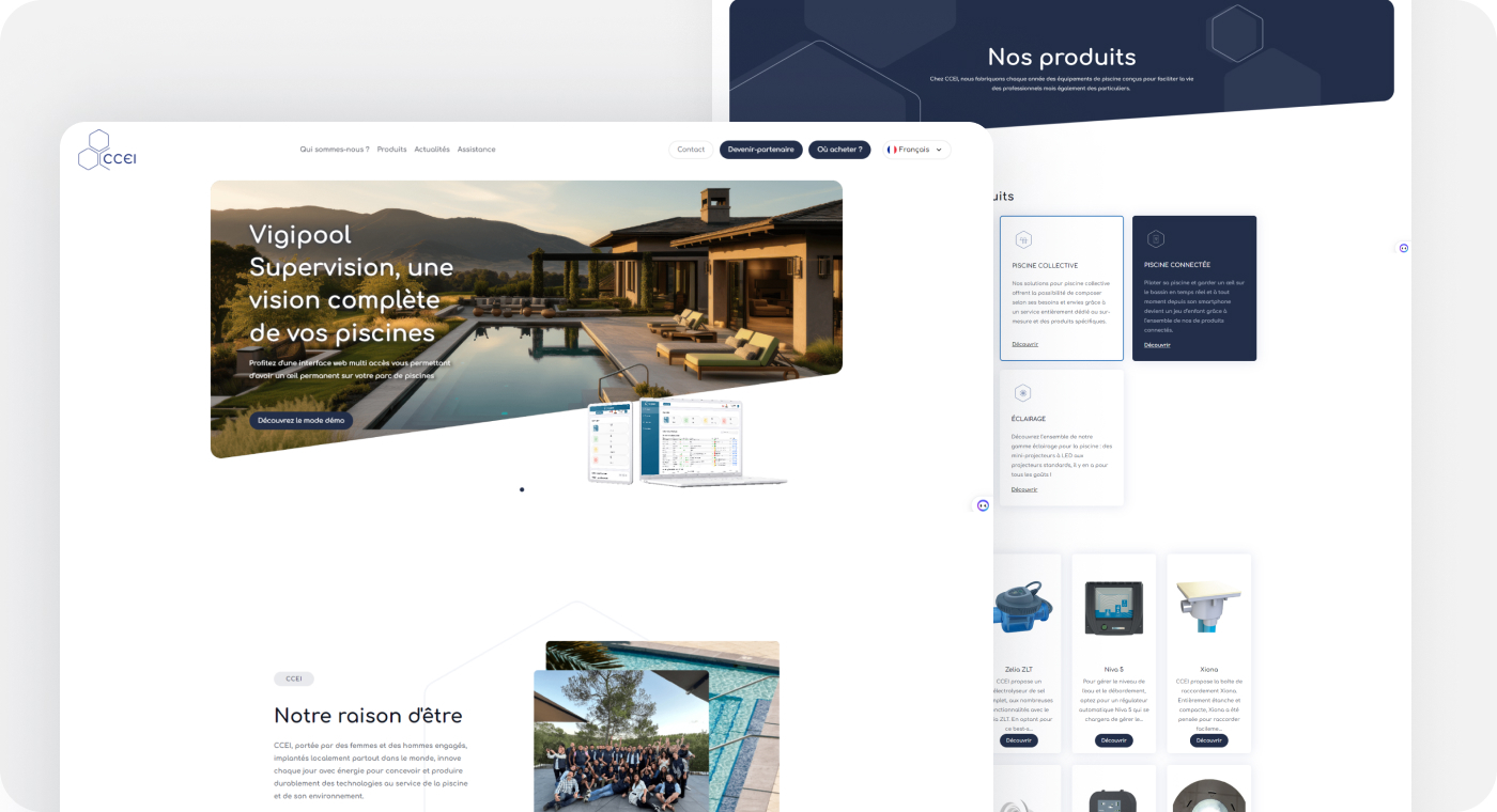 CCEI - Screen 1