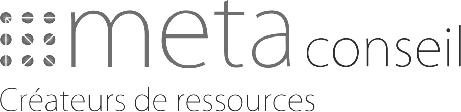 meta-conseil-logo