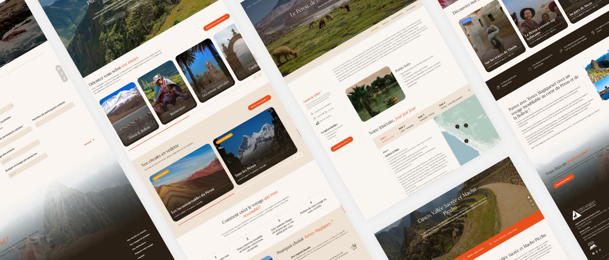 Aperçu du site terres magiques - planche visuelle